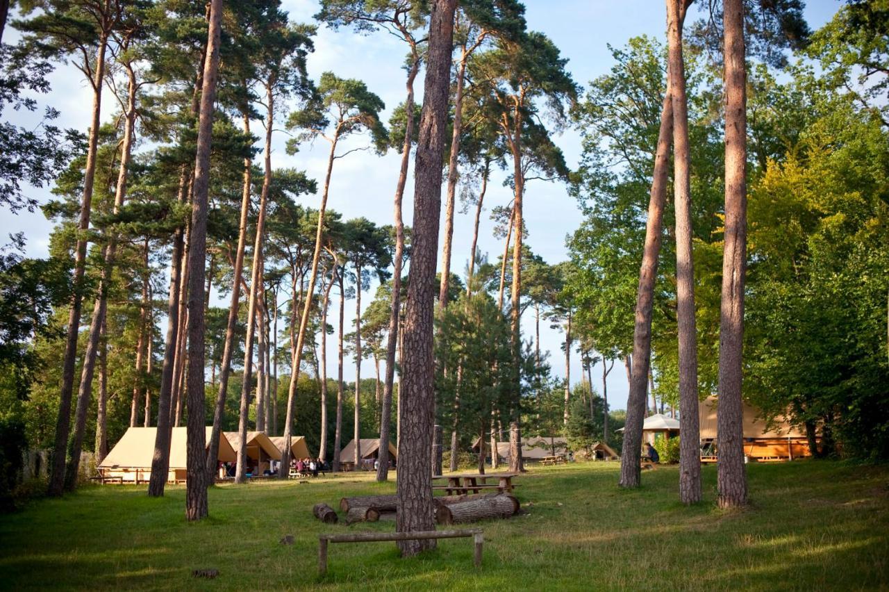 Huttopia Rambouillet Ngoại thất bức ảnh